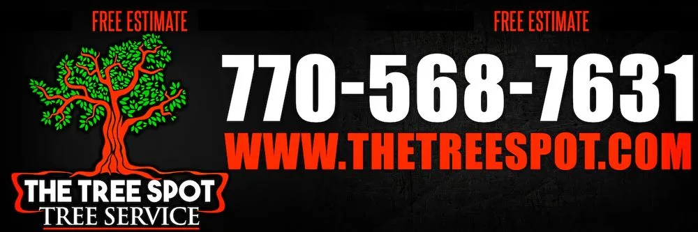 Affordable yard maintenance with custom design in Lithia Springs, GA by The Tree Spot Tree Service