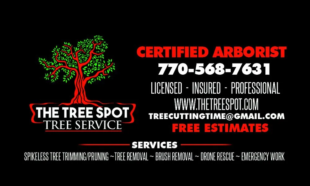 Local yard cleanup service in Lithia Springs, GA - The Tree Spot Tree Service