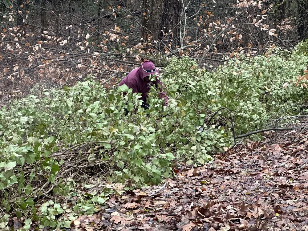 Expert yard cleanup service experts serving Lithia Springs, GA - The Tree Spot Tree Service