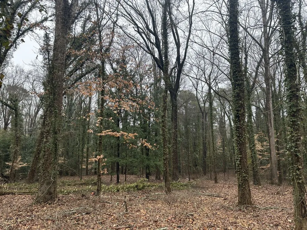 Top-rated garden landscaping in Lithia Springs, GA - The Tree Spot Tree Service