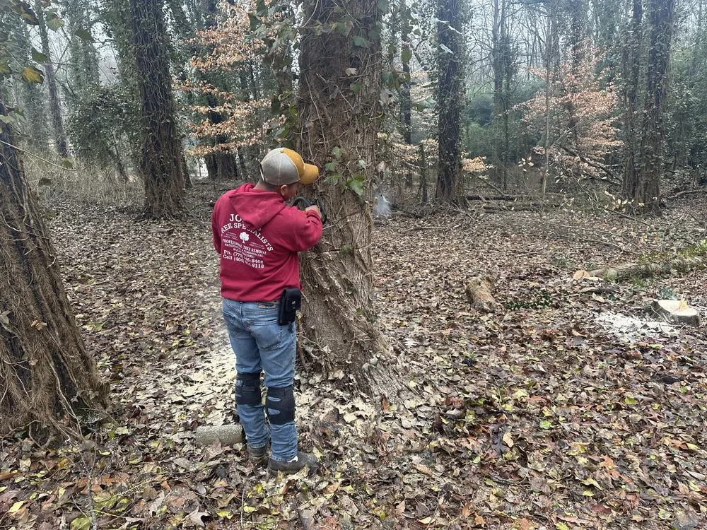 Reliable garden landscaping in Lithia Springs, GA by The Tree Spot Tree Service