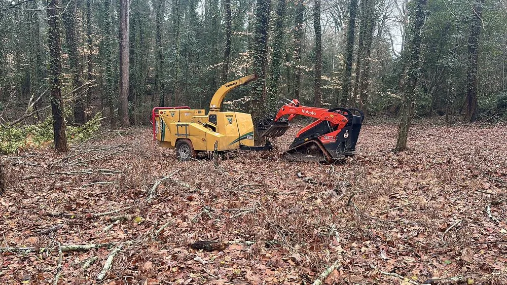 Affordable lawn care service in Lithia Springs, GA - The Tree Spot Tree Service