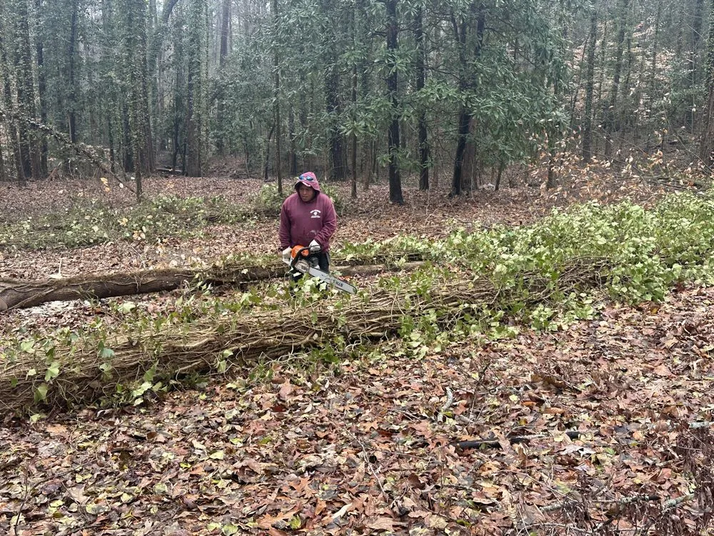 Reliable residential landscaping experts serving Lithia Springs, GA - The Tree Spot Tree Service