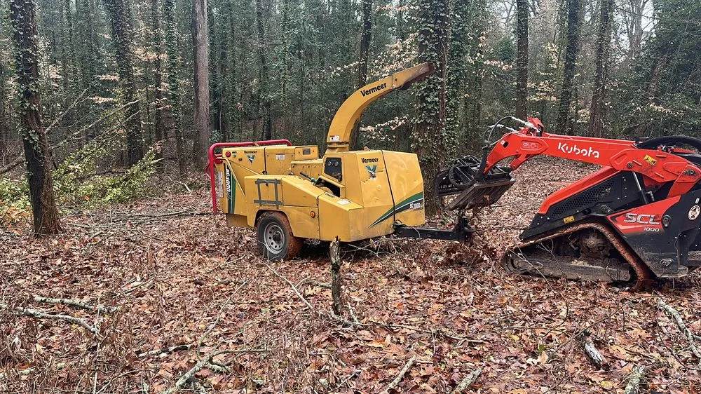 Trusted landscape design in Lithia Springs, GA - The Tree Spot Tree Service