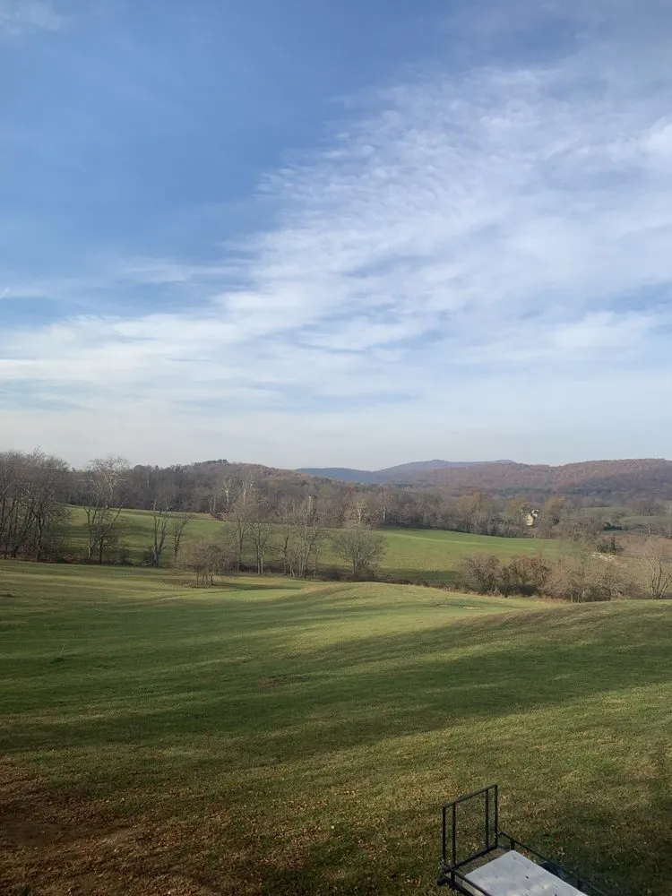 Local landscape installation for year-round maintenance in Marshall, VA by The Tree Surgeon