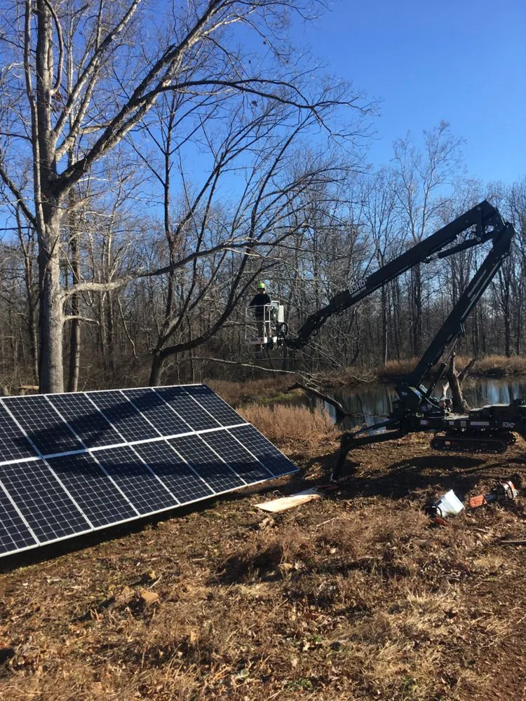 Professional landscape design for residential properties across Marshall, VA - The Tree Surgeon