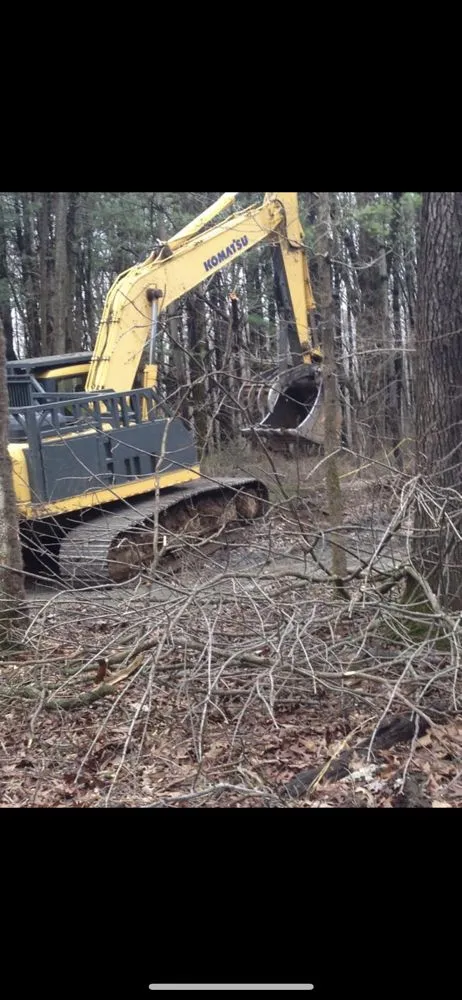 Professional landscaping services in Marshall, VA - The Tree Surgeon