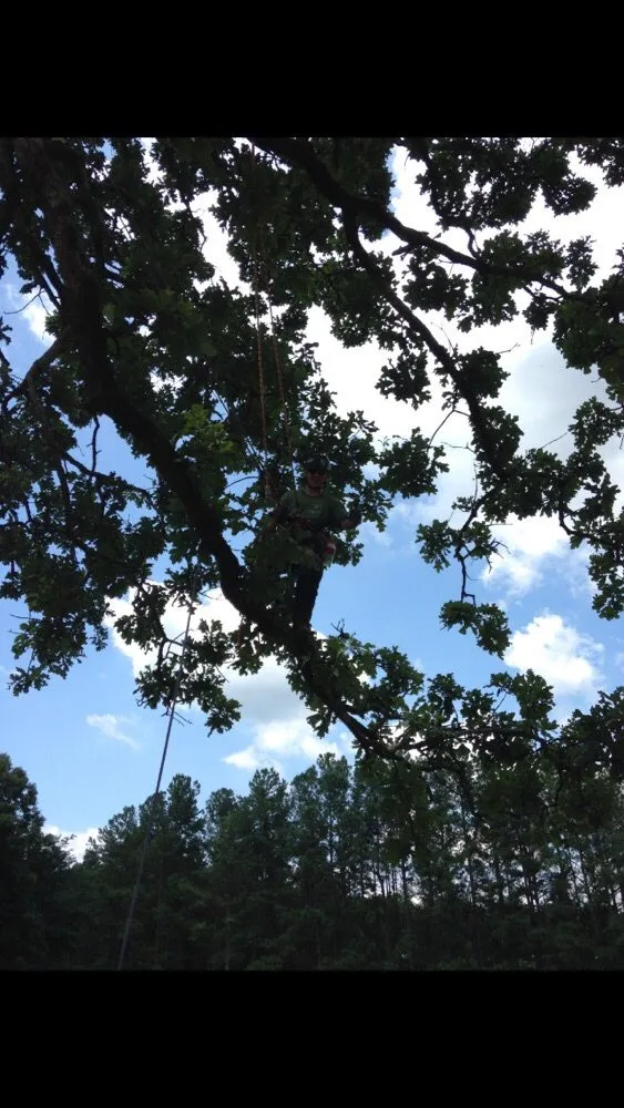 Local garden landscaping in Marshall, VA by The Tree Surgeon