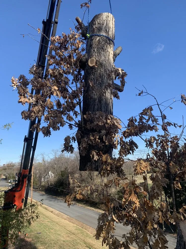 Top-rated landscape installation experts serving Marshall, VA - The Tree Surgeon