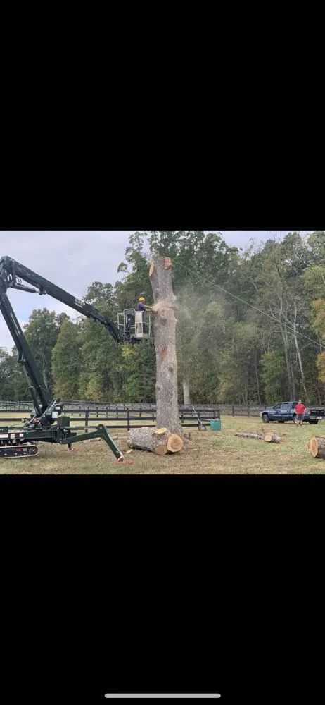 Affordable landscaping services in Marshall, VA - The Tree Surgeon