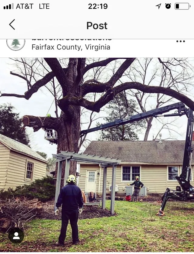 Affordable landscape installation in Marshall, VA by The Tree Surgeon