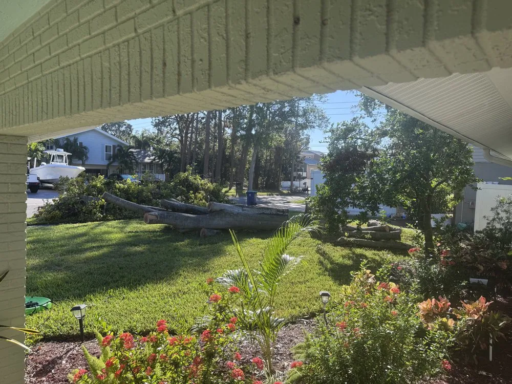 Reliable yard maintenance for residential properties in Petersburg, FL by The Tree Surgeons of Tampa Bay