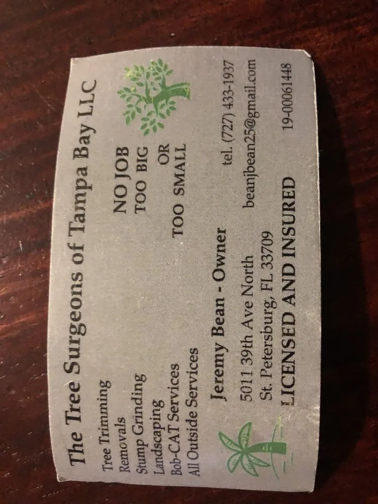 Reliable yard cleanup service experts serving Petersburg, FL - The Tree Surgeons of Tampa Bay
