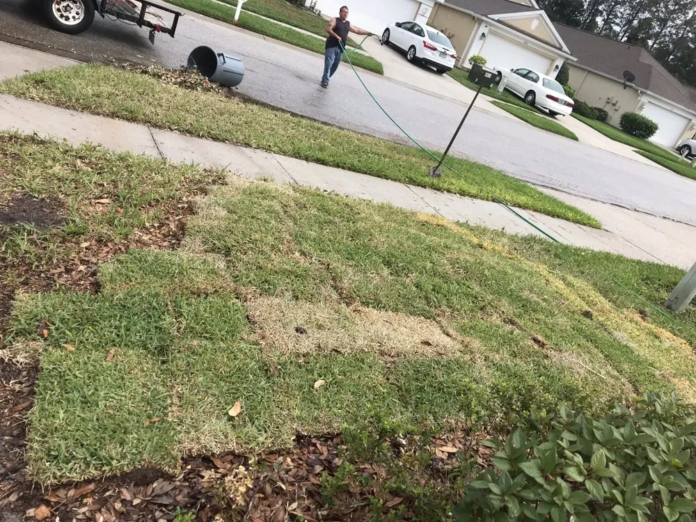 Affordable lawn care service in Petersburg, FL by The Tree Surgeons of Tampa Bay