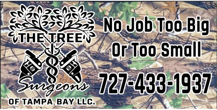 Custom yard cleanup service near you in Petersburg, FL by The Tree Surgeons of Tampa Bay
