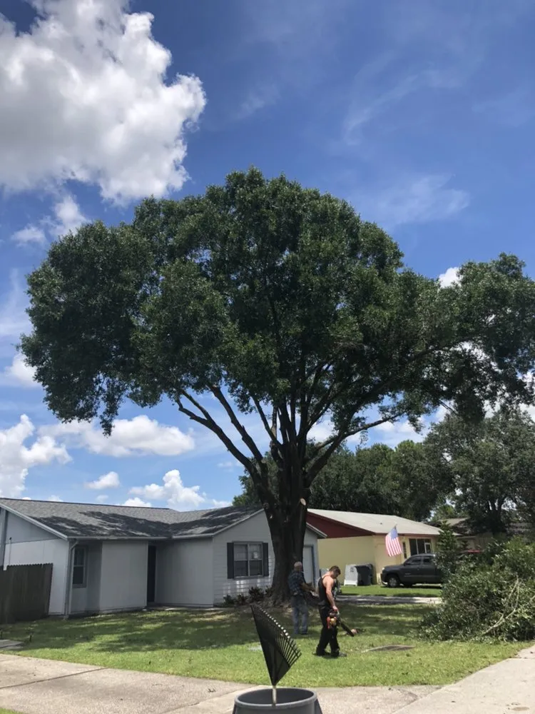 Expert landscape design for residential properties across Petersburg, FL - The Tree Surgeons of Tampa Bay