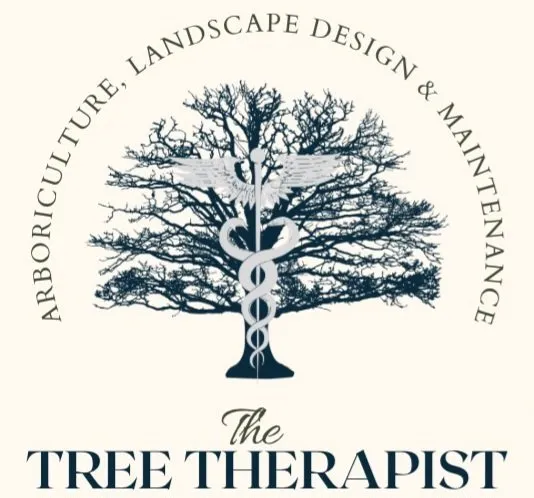 Local residential landscaping in Florence, AZ - The Tree Therapist