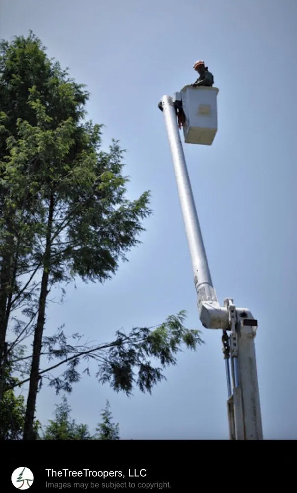 Trusted landscape design experts serving Danbury, CT - The Tree Troopers