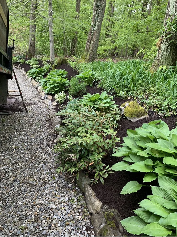 Top-rated yard cleanup service experts serving Danbury, CT - The Tree Troopers