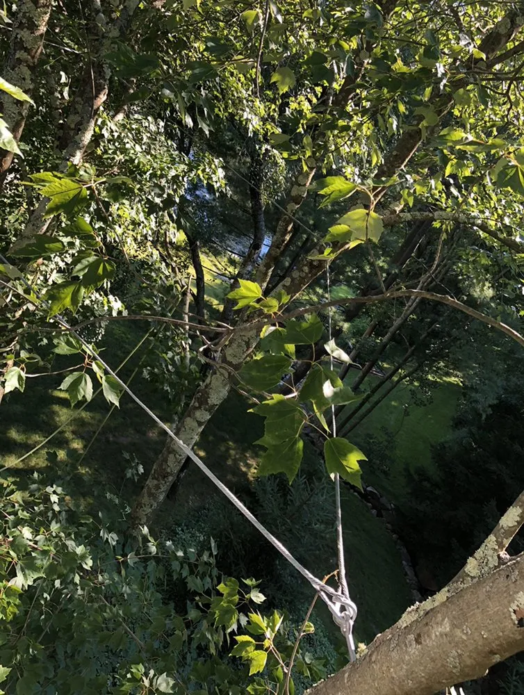 Local garden landscaping for year-round maintenance in Danbury, CT by The Tree Troopers