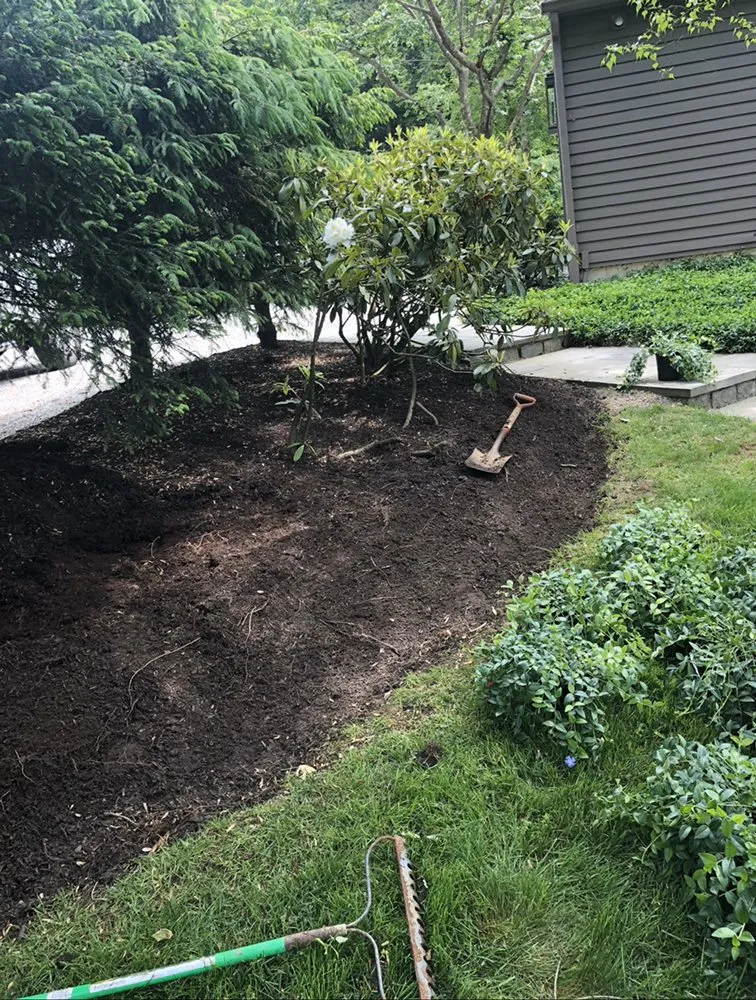 Trusted yard cleanup service experts serving Danbury, CT - The Tree Troopers