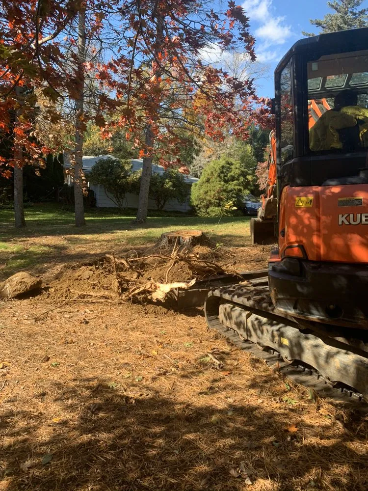Custom yard maintenance experts serving Danbury, CT - The Tree Troopers