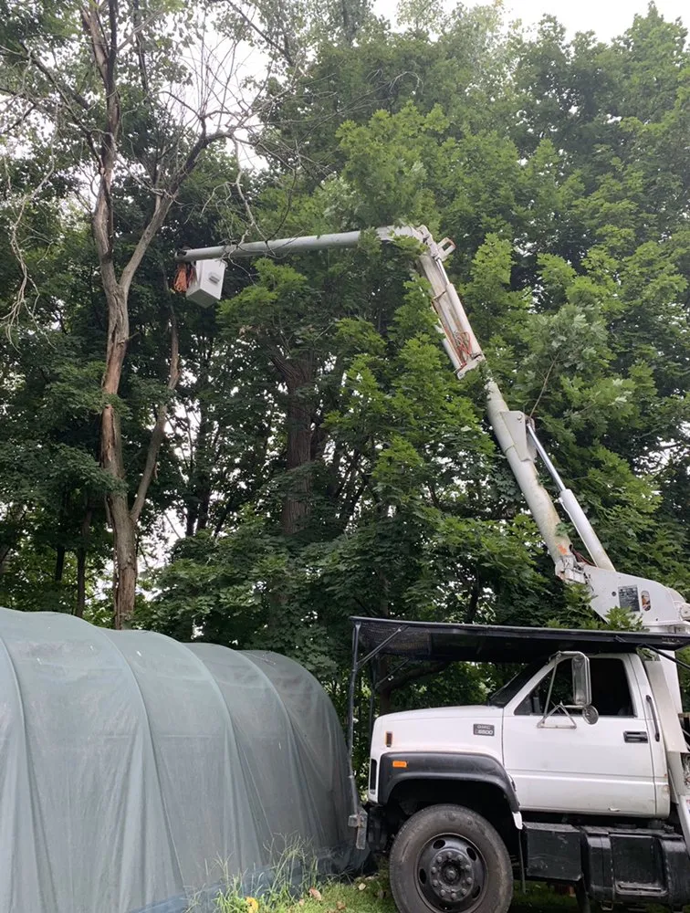 Affordable residential landscaping for outdoor upgrades in Danbury, CT by The Tree Troopers