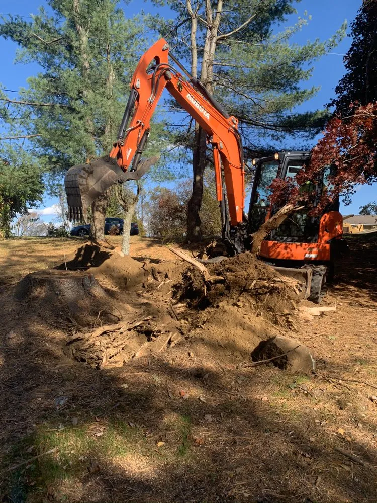 Professional landscaping services experts serving Danbury, CT - The Tree Troopers