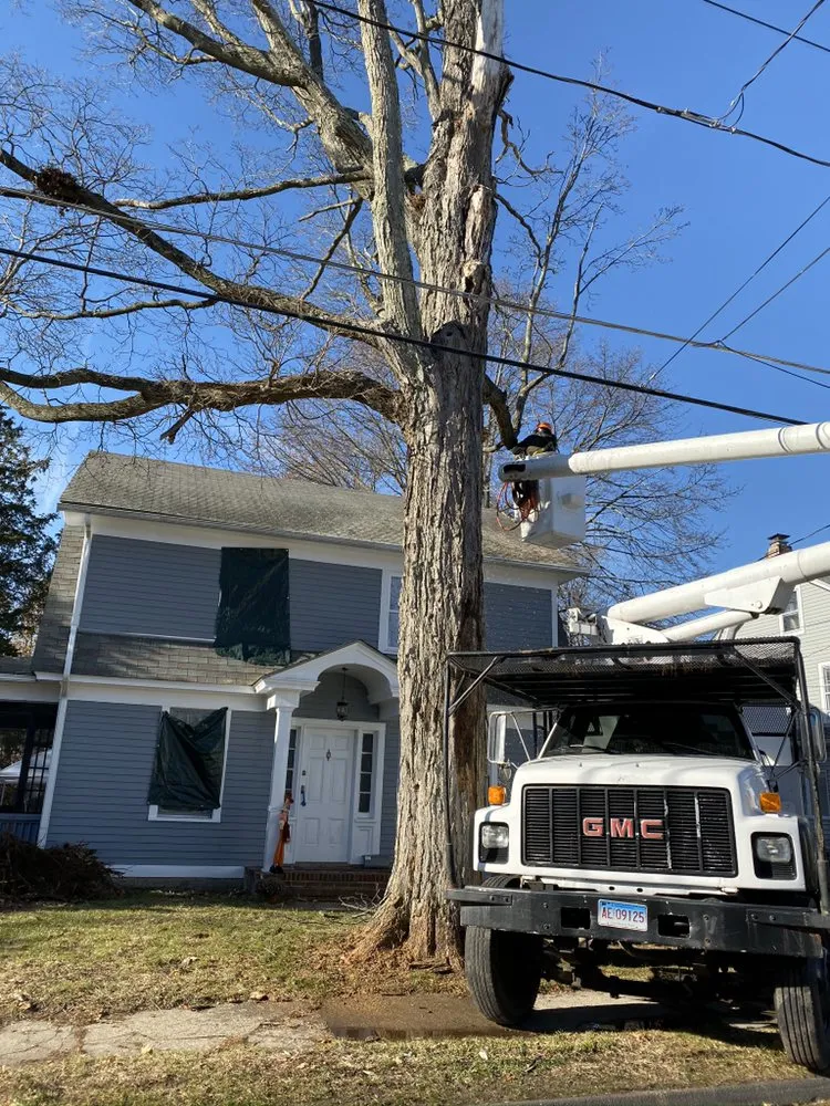 Local landscape installation with custom design across Danbury, CT - The Tree Troopers