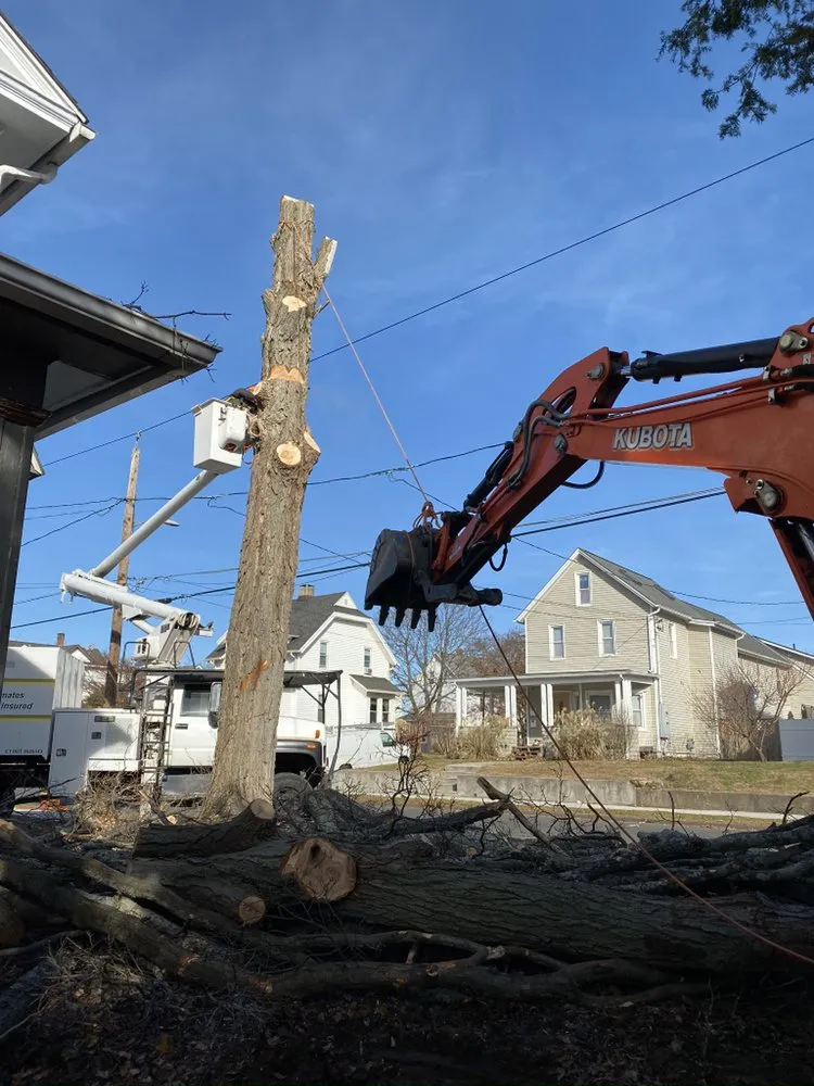 Local yard maintenance experts serving Danbury, CT - The Tree Troopers