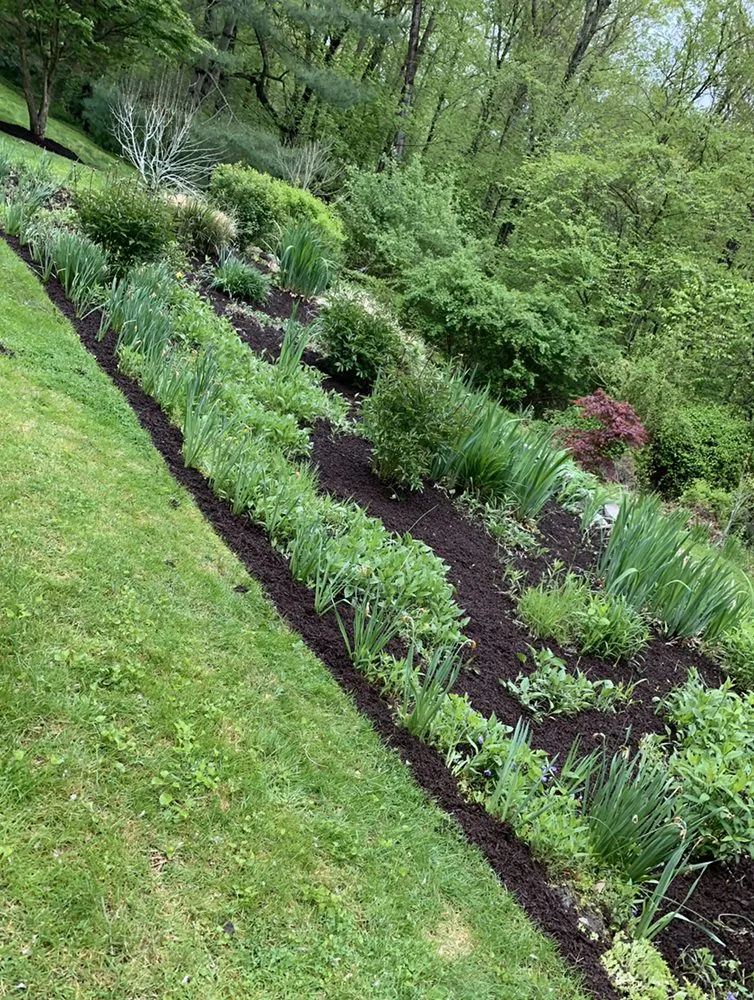 Professional landscape installation in Danbury, CT by The Tree Troopers