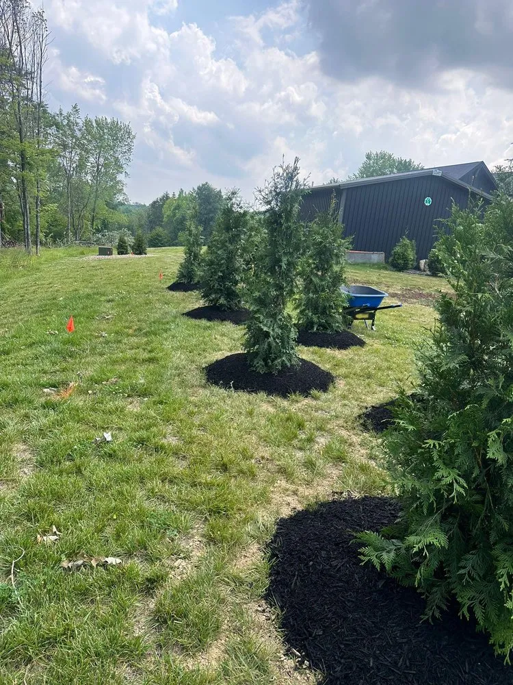 Top-rated landscape design for residential properties across Mars, PA - The Treesdale Landscape Company