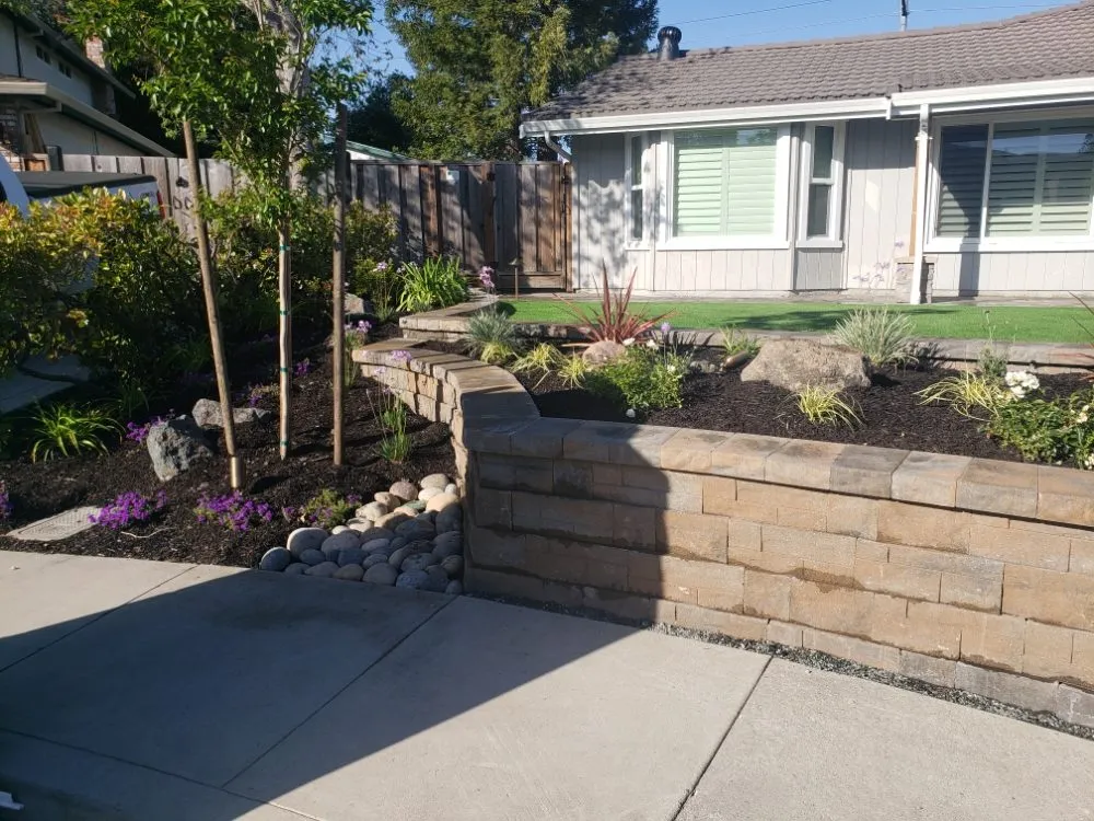 Affordable lawn care service for residential properties across Martinez, CA - The Tribe Landscaping