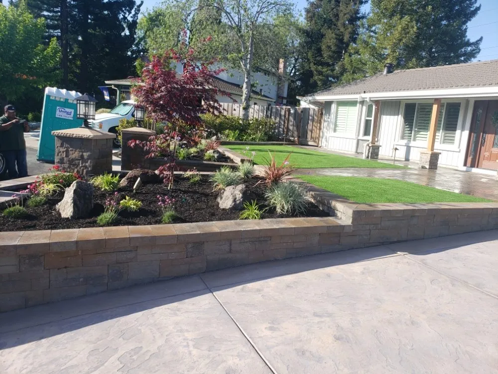 Professional yard cleanup service for year-round maintenance in Martinez, CA by The Tribe Landscaping
