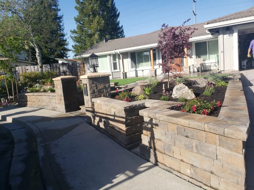 Professional yard cleanup service for homes in Martinez, CA by The Tribe Landscaping