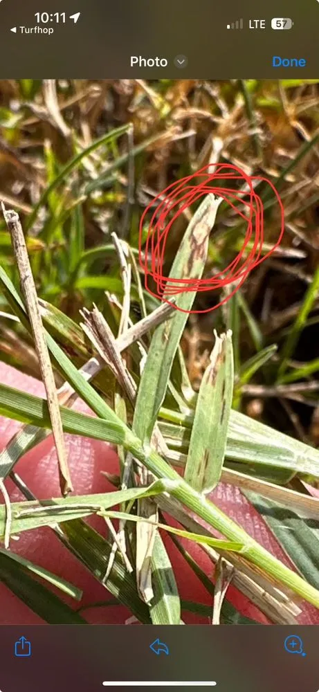 Custom garden landscaping for homes across Buford, GA - The Turf Butler