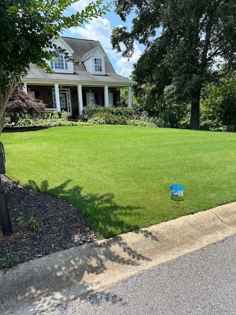 Expert yard cleanup service for year-round maintenance across Buford, GA - The Turf Butler