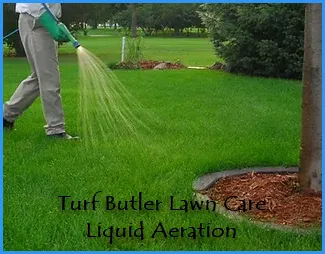 Reliable yard maintenance in Buford, GA - The Turf Butler