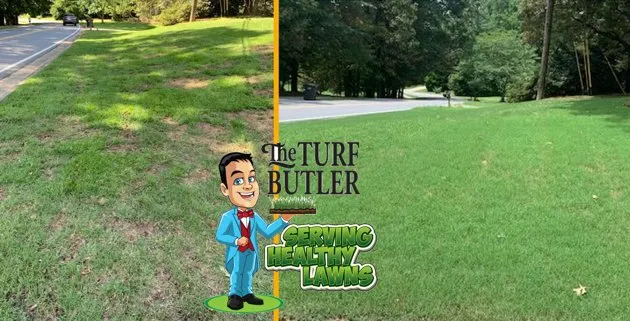 Top-rated lawn mowing service in Buford, GA - The Turf Butler