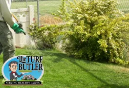 Trusted landscape design for residential properties across Buford, GA - The Turf Butler