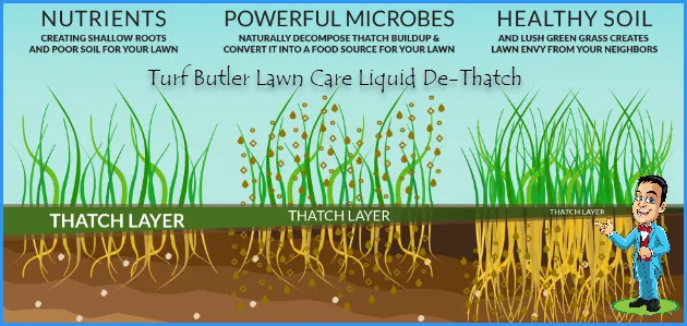 Professional garden landscaping in Buford, GA - The Turf Butler