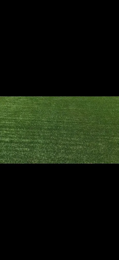 Professional residential landscaping experts serving Las Vegas, NV - The Turf Cleaning