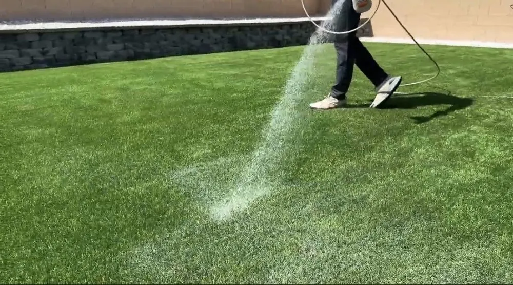 Local landscape design in Las Vegas, NV - The Turf Cleaning