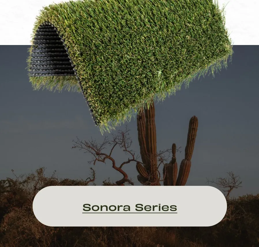 Affordable landscaping services experts serving Hewitt, TX - The Turf Corner