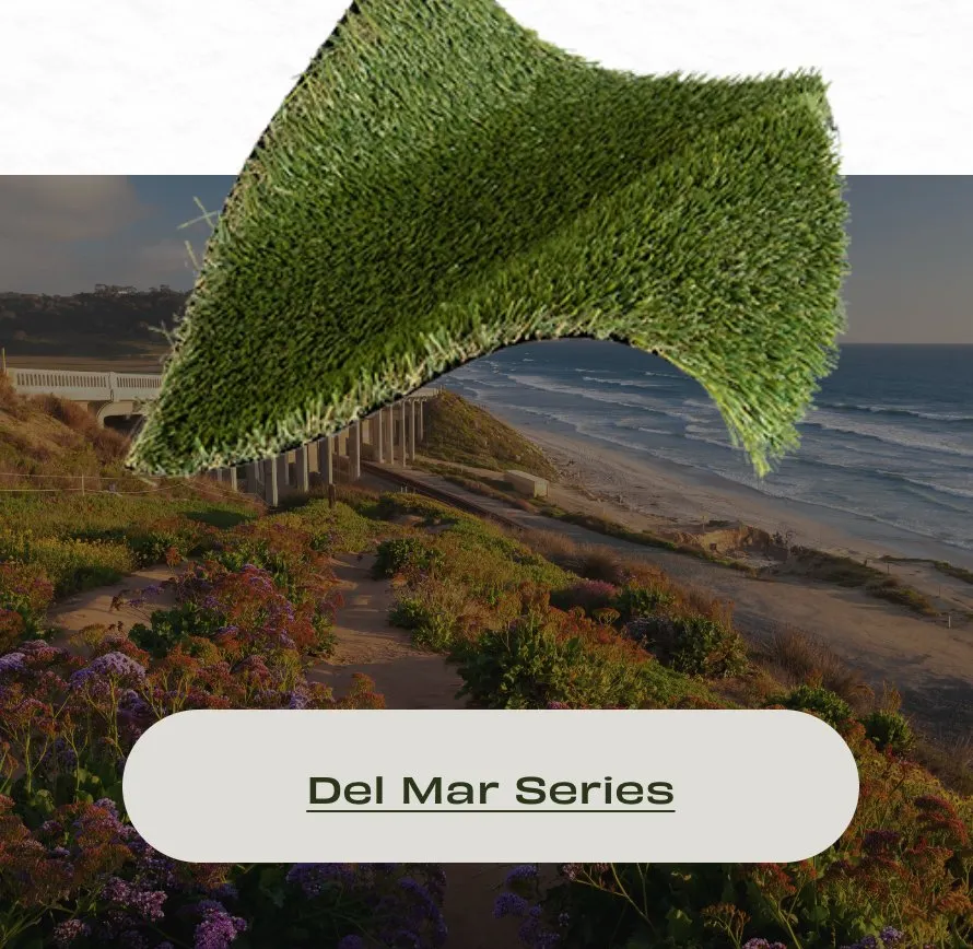 Local landscaping services experts serving Hewitt, TX - The Turf Corner