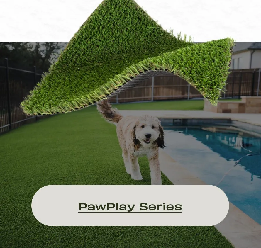 Affordable lawn mowing service for year-round maintenance across Hewitt, TX - The Turf Corner