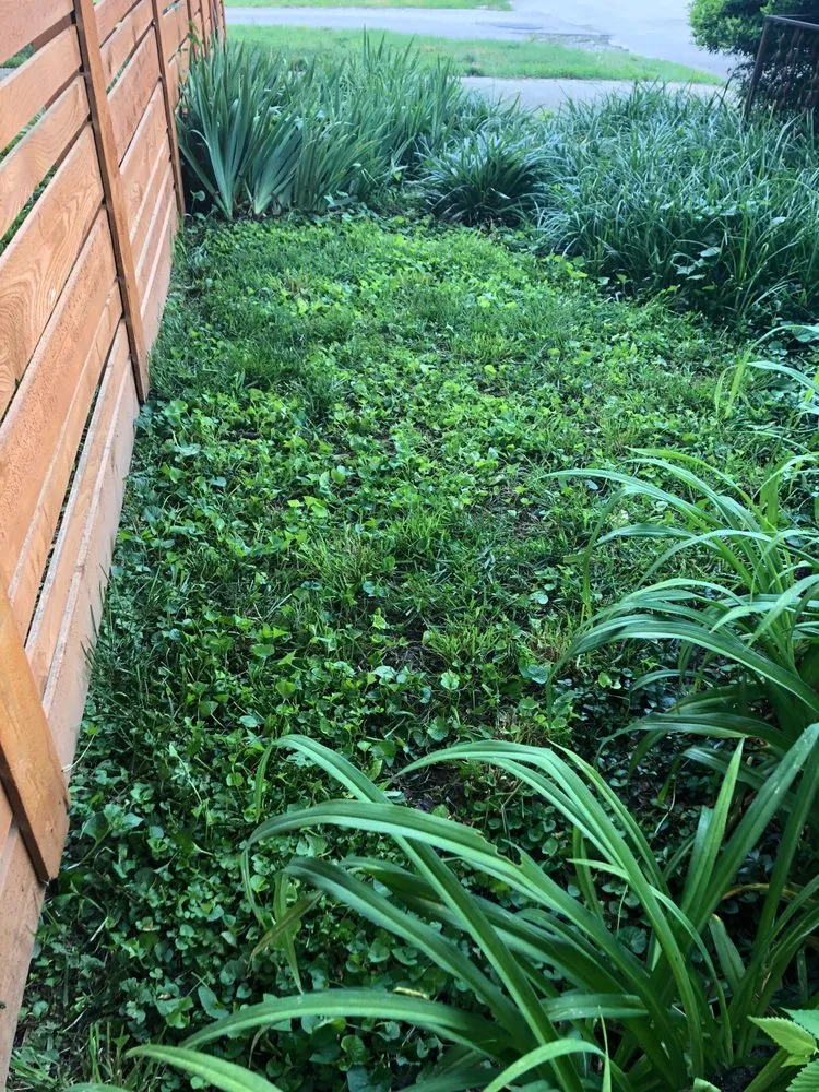 Custom yard maintenance near you across Franklin, TN - The Turf Doctor