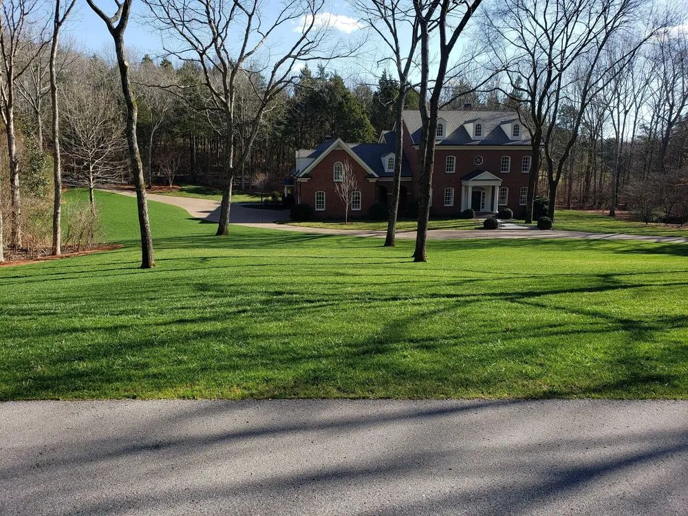 Professional yard cleanup service in Franklin, TN by The Turf Doctor