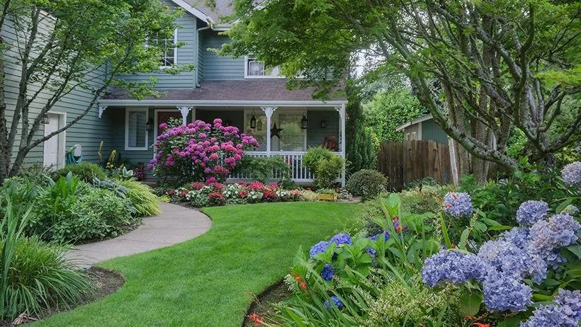 Custom lawn care service for residential properties in Franklin, TN by The Turf Doctor