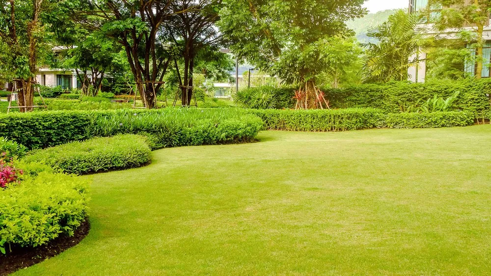 Trusted yard cleanup service for residential properties in Franklin, TN by The Turf Doctor